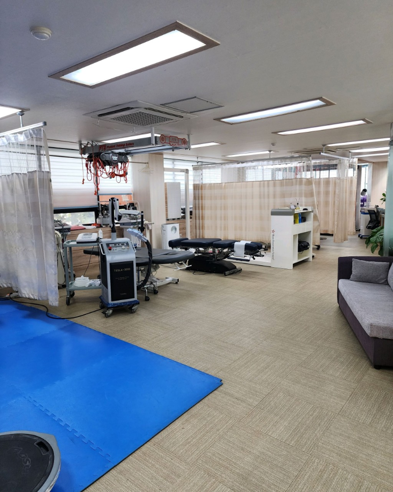 양천구 신월5동 정형외과 유명하고 잘하는 곳 추천 TOP 5