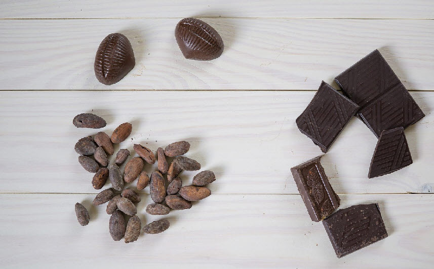 코코아 콩 그리고 초콜릿