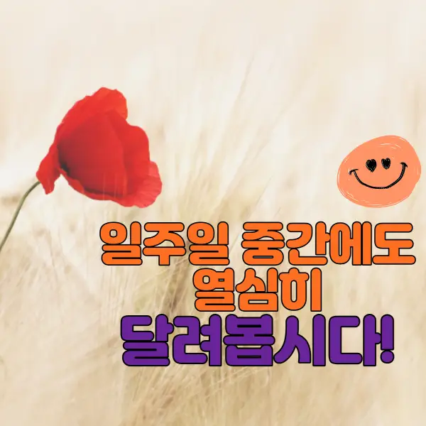 수요일 아침인사말