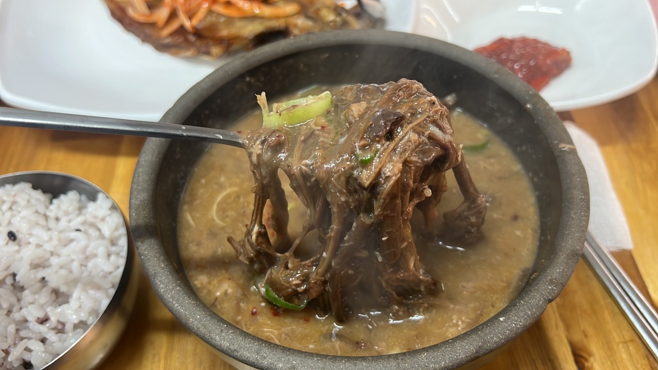 제주공항 근처 맛집 추천 8곳 : 제주공항 시내 맛집 리스트