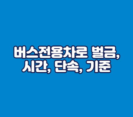 버스전용차로 벌금&#44; 시간&#44; 단속&#44; 기준