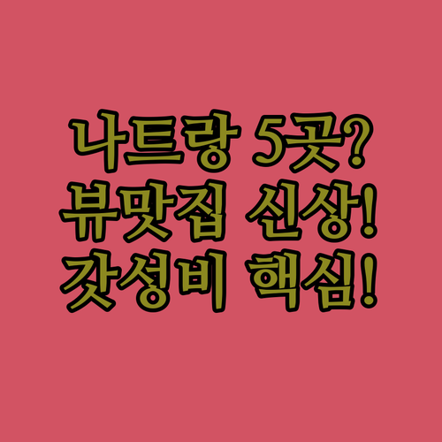 나트랑 호텔 5곳 비교 분석 가성비 ..