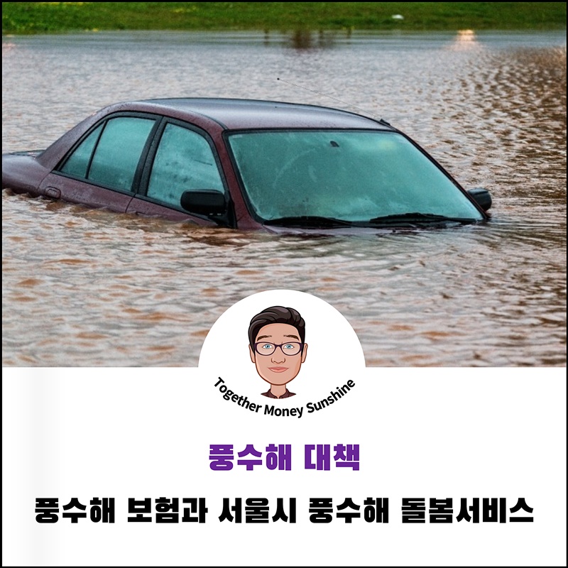 풍수해