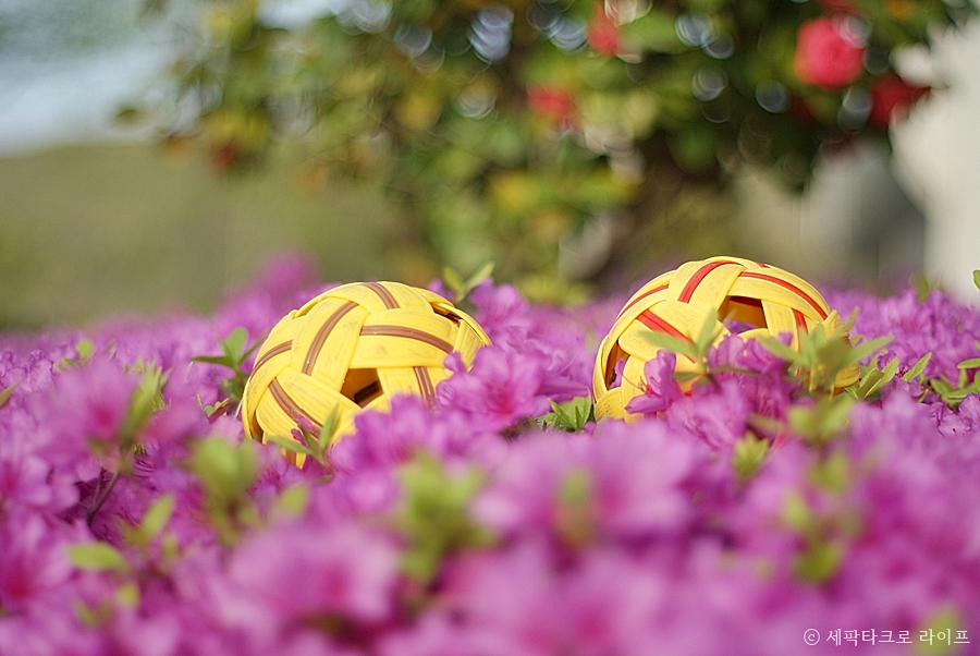 세팍타크로바탕화면