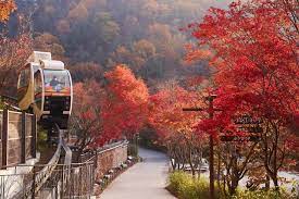 화담숲 예약하기 &amp;#124; 100% 성공하는 팁