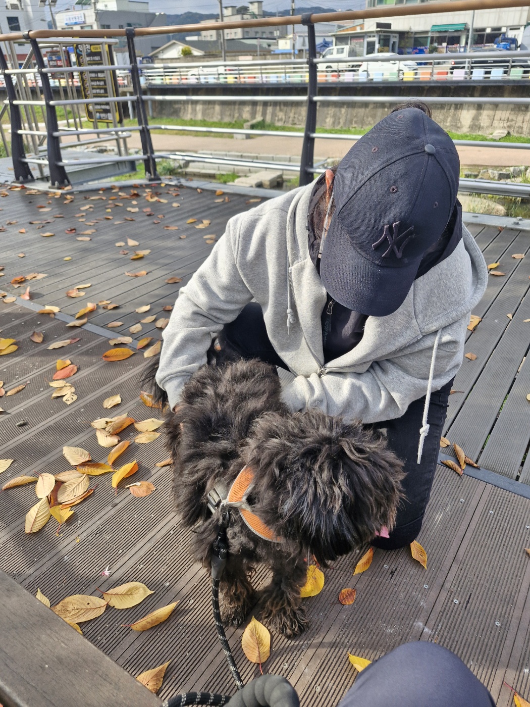 강아지가 진짜 원하는 10가지 (사료보다 더 중요한 것들)