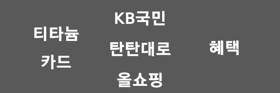 KB국민 탄탄대로 올쇼핑 티타늄카드