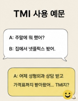 TMI 뜻 완벽 정리