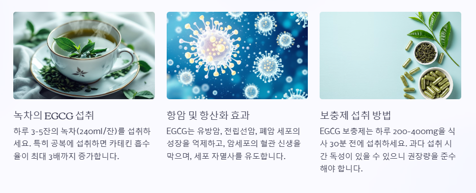 녹차