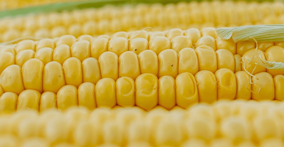 심장 건강에 좋은 음식 관련 사진 - 8