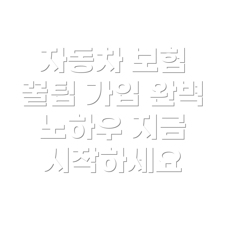 단독 자동차 보험