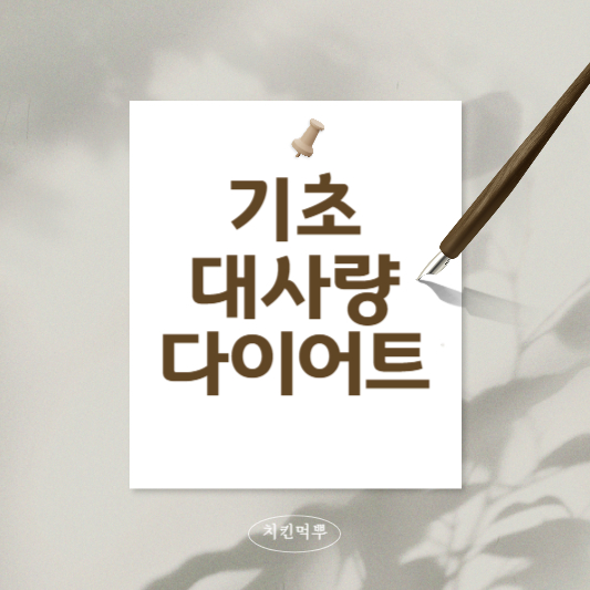 기초대사량다이어트