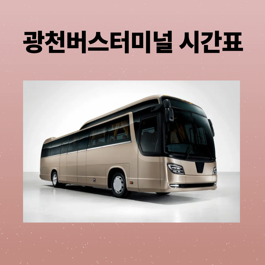 광천버스터미널 시간표, 예매, 주차장, 지역 맛집