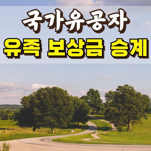 숲 사진이에요.