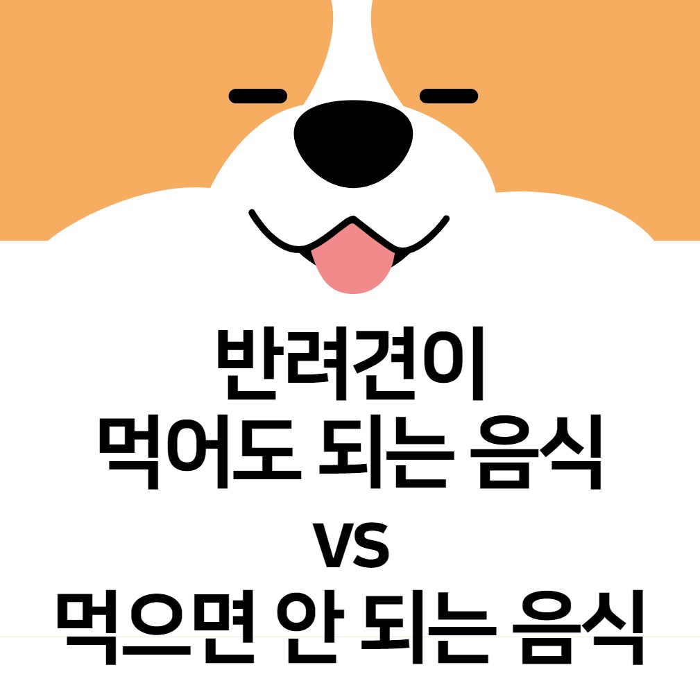 반려견이-먹어도-되는-음식과-먹으면-안-되는-음식-10가지