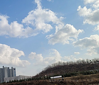 캔들-차트-추세-보는-방법-기술적분석