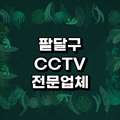 수원 팔달구 cctv