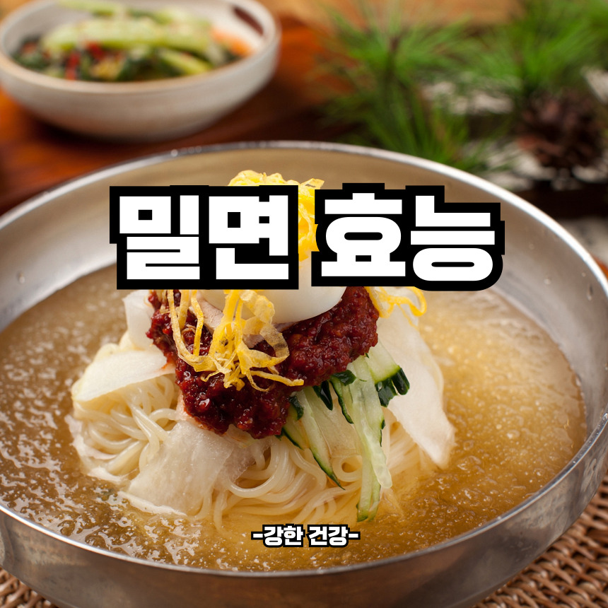 밀면 효능