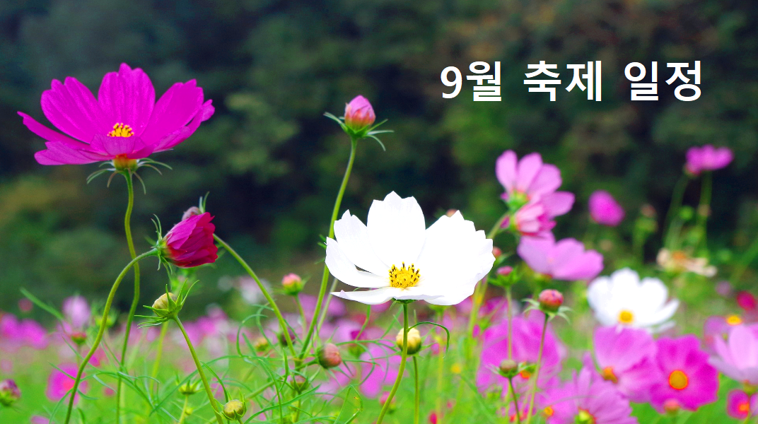 9월 축제