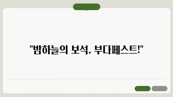 부다페스트 야경