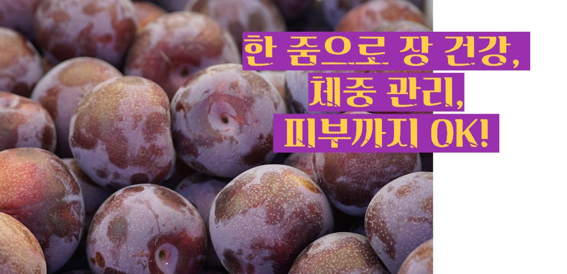 푸룬 건자두 효능 부작용
