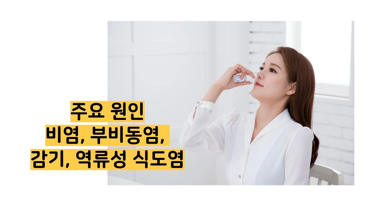 후비루 증상