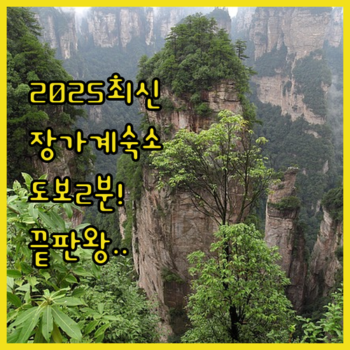 2025년 신축 장가계 숙소 추천 및..