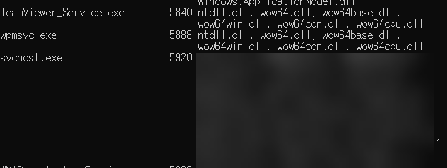 dll 파일 검색하기