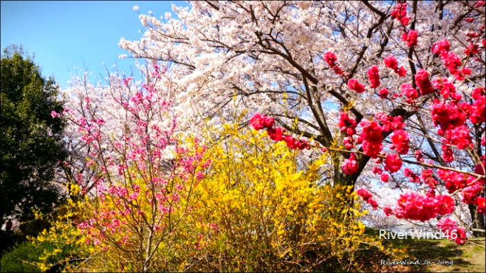 환상적인화원