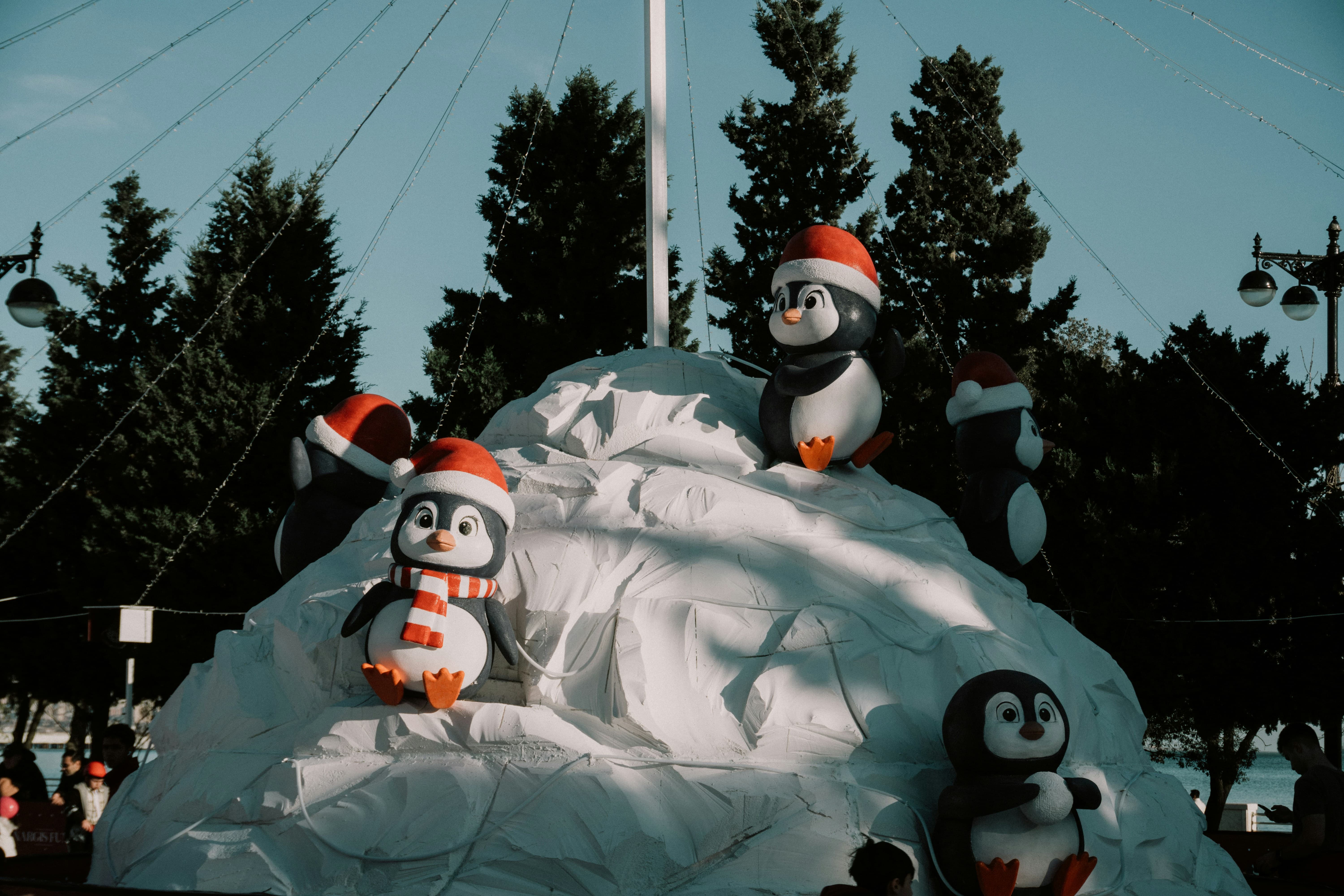 2026 화천 산천어축제 숙박 교통 주차