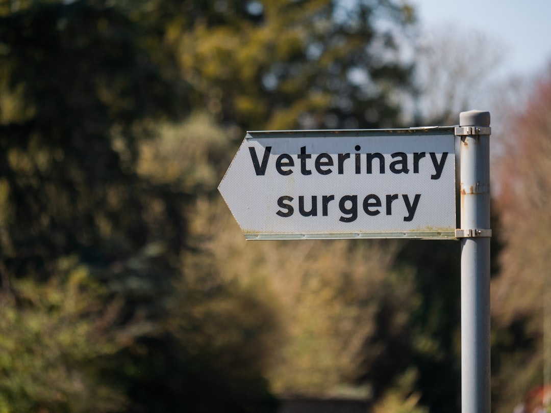 Veterinary