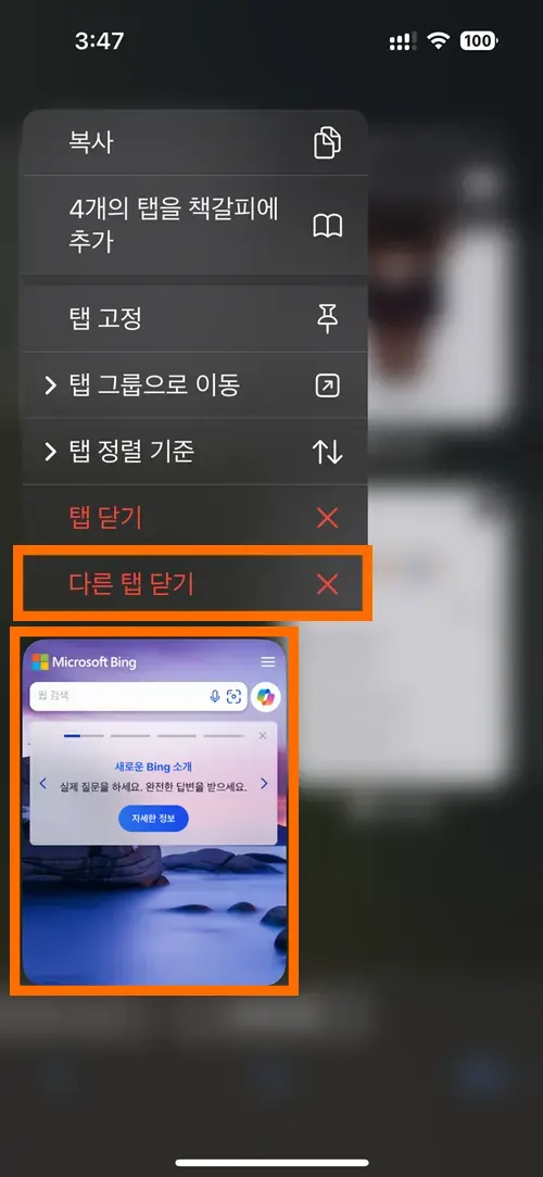 사파리에서 다른 탭 닫기 메뉴가 뜬 모습