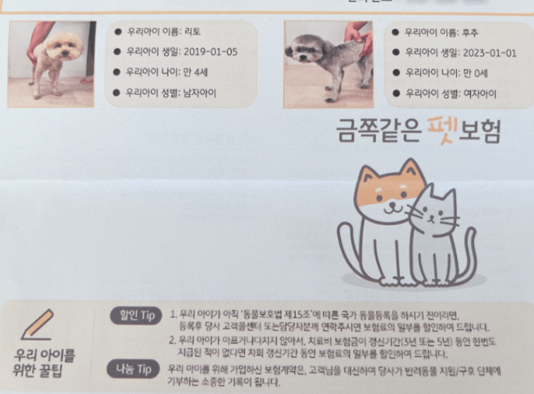 KB 펫보험 후기