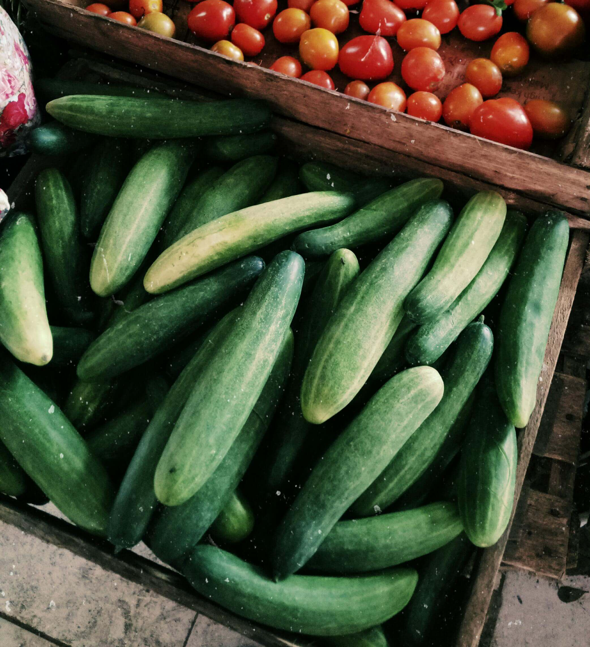 더위먹었을때 도움되는 음식과 비상시 쓸수있는 약 정보