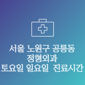 서울 노원구 공릉동 정형외과 주말 토요일 일요일 문여는 병원 진료시간