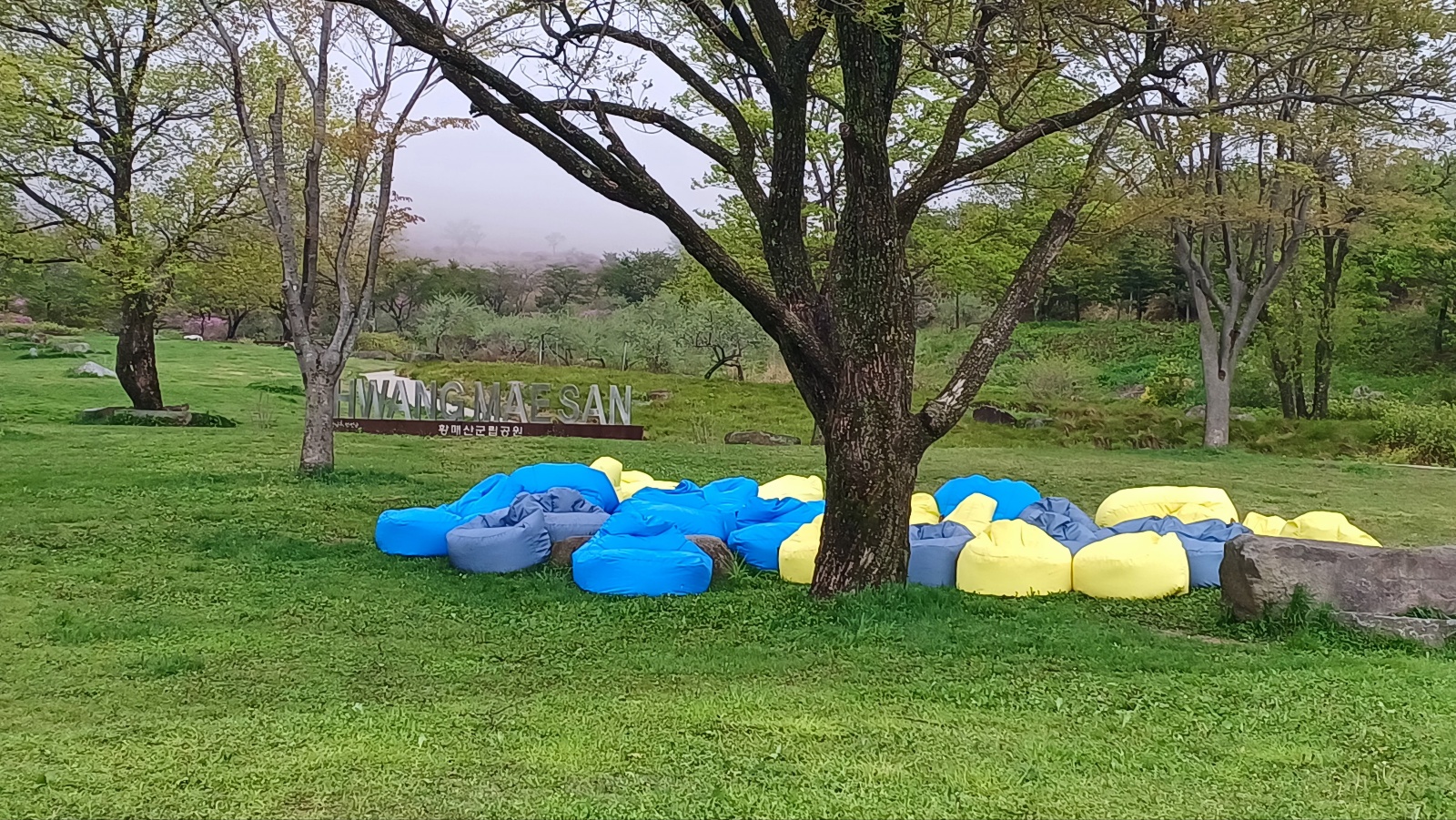 합천 황매산 철쭉46