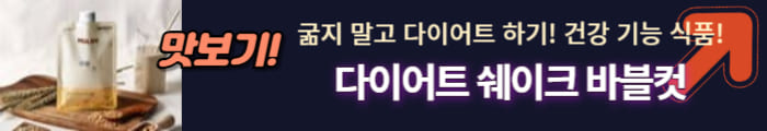다이어트 건강식