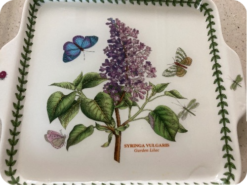 광어 곤부지메 완벽 레시피