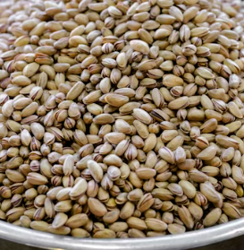 비타민E의 효능