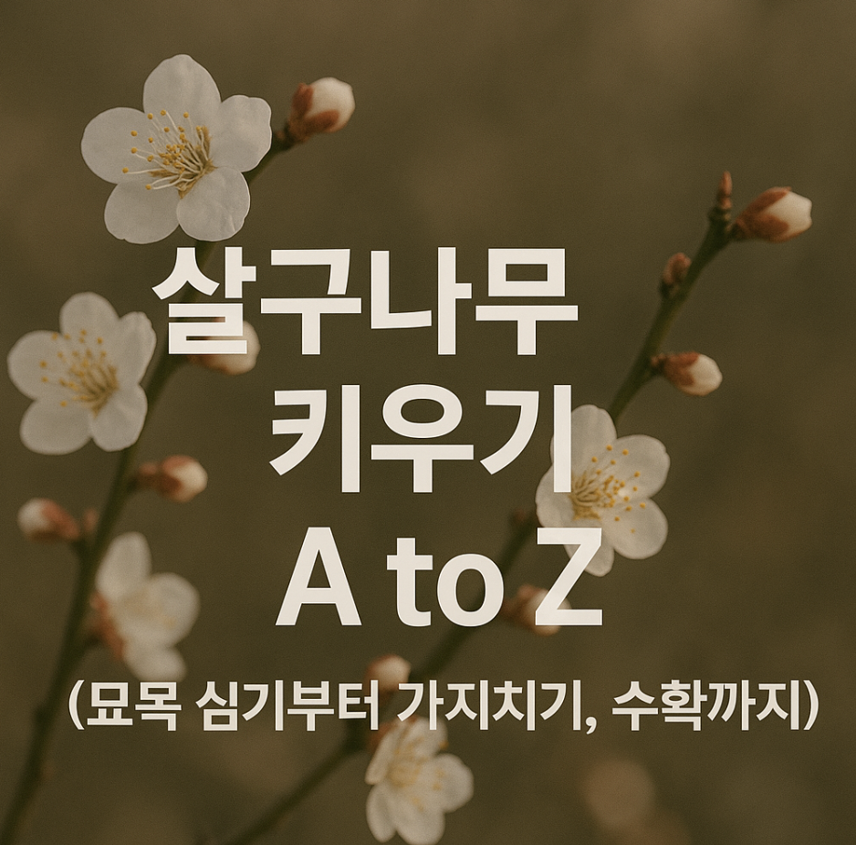 살구나무 키우기 A to Z (묘목 심기부터 가지치기, 수확까지)