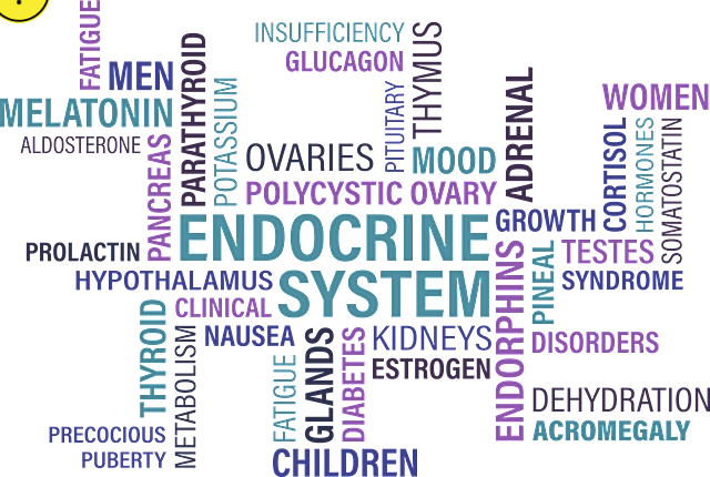 당뇨에 좋은 차