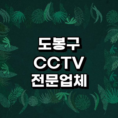 서울 도봉구 cctv