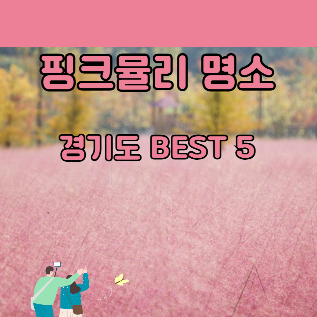 핑크뮬리 명소