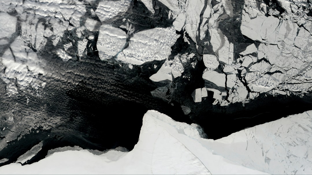 Environment