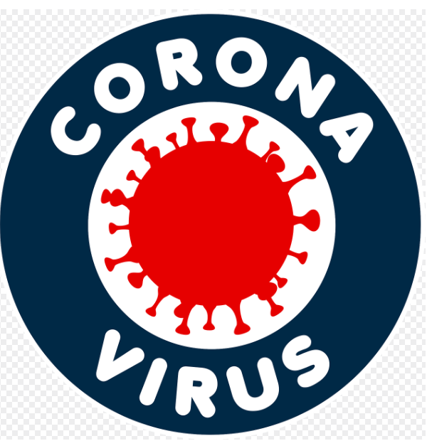 니파 바이러스란?