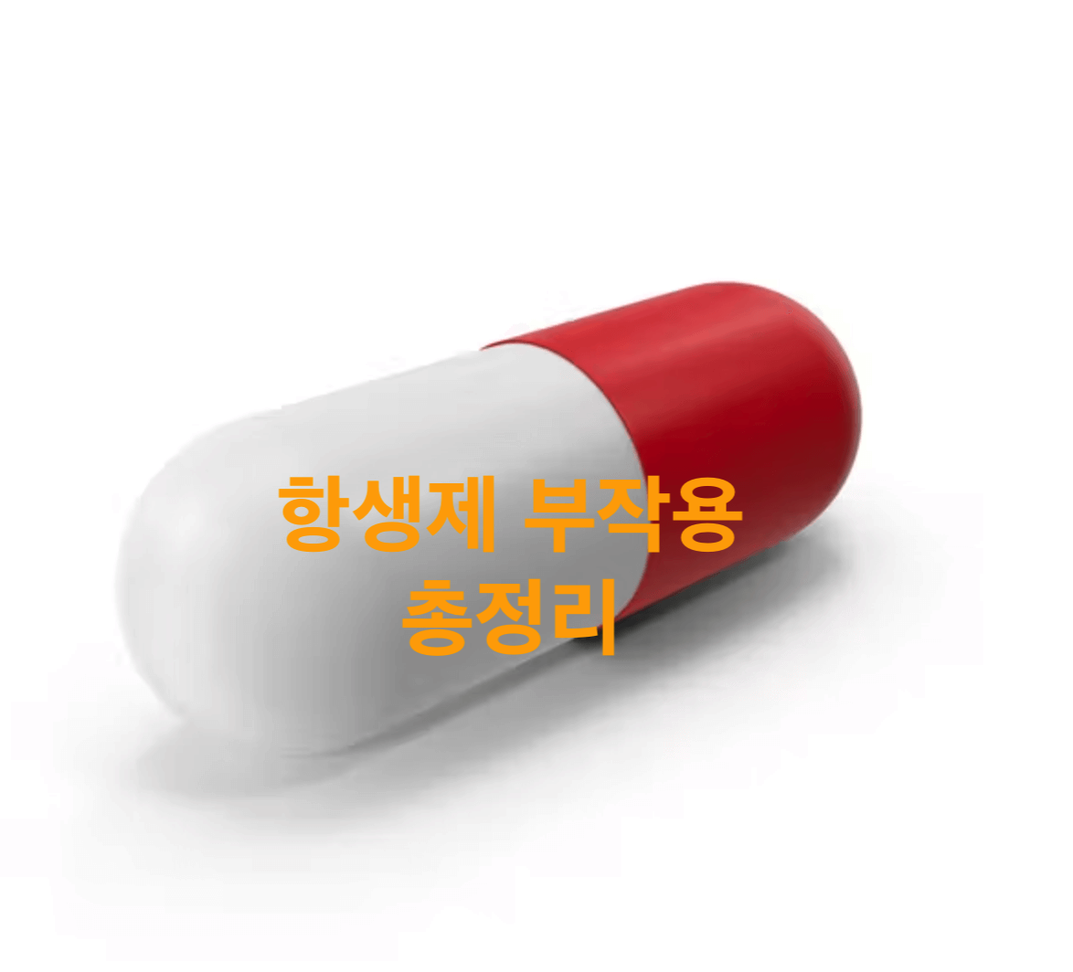 항생제 부작용