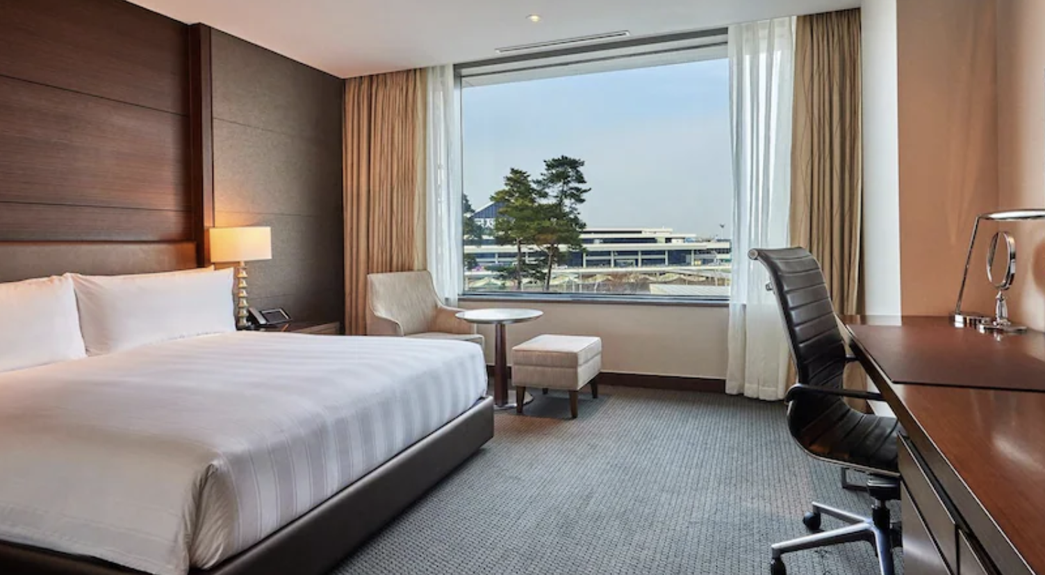 서울 가성비 평점 좋은 호텔 BEST 07 + 서울 이색 액티비티 추천 BEST 04