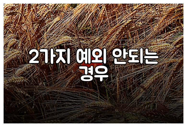 2가지 예외 안되는 경우