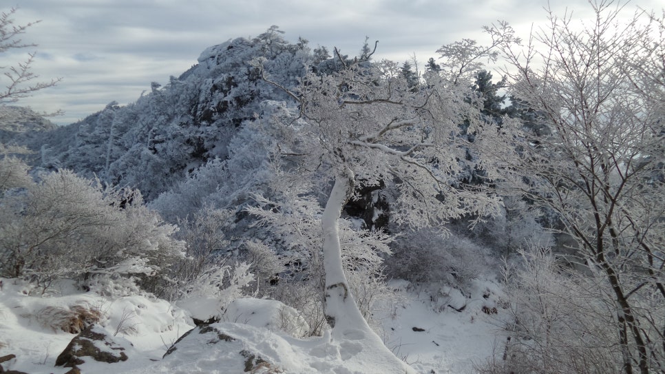 100대명산 등산하기 세번째 지리산(智異山) 은 대한민국을 대표하는 명산이자, 우리 민족의 정신이 깃든 산 남한의 최고 명산 천왕봉의 산