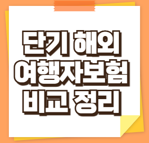 단기 해외 여행자 보험 보장 범위와 가격 비교 총정리